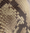 Jasmine Hi Couro Cobra Bege