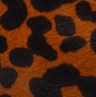 Leopardo